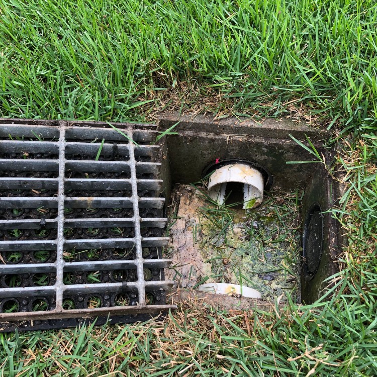 Drainage services in Madison Heights, MI