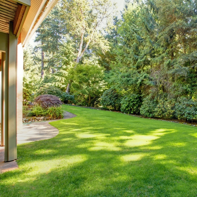 Drainage services in Madison Heights, MI