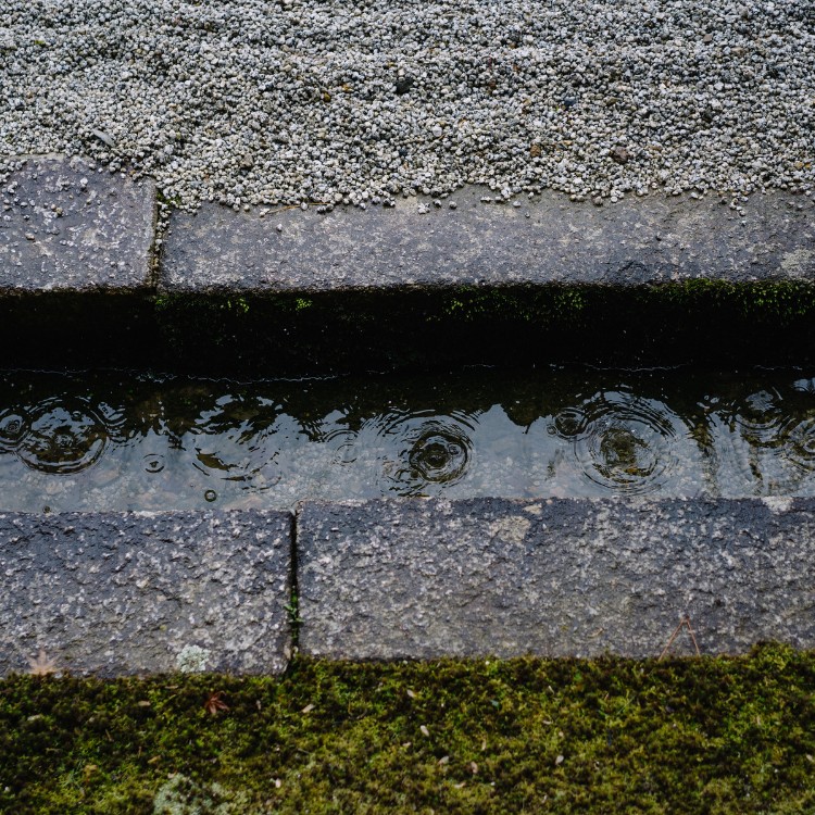 Drainage services in Madison Heights, MI